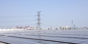 国家发改委苏伟：全面推进太阳能发电、风电大规模开发！